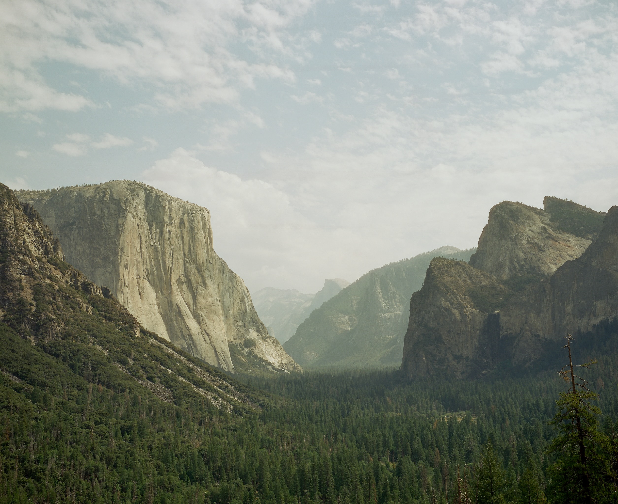 &ldquo;El Capitan&rdquo;